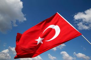Den 27-årige Faruk Fatih Özer blev forleden set gå igennem paskontrollen i Istanbul Lufthavn. Tyrkisk politi har siden arresteret medarbejdere fra to kryptovaluta-selskaber.