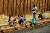 Tazara-toget kommer forbi to gange om ugen, og det larmende besøg er en spændende begivenhed i de små landsbyer i Zambia. Foto: Malene Bo
