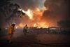 Skovbrande er langtfra ualmindelige i Australien. Men det har aldrig været så ekstremt som i år. Her forsøger brandfolk at beskytte nogle ejendomme ved Tahmoor i New South Wales. Foto: Dean Lewins/EPA