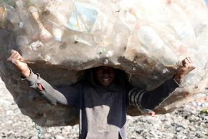 I hele verden vokser problemerne med plastaffald dag for dag, og især emballage fra fødevarer spiller en stor rolle. I Aarhus arbejder virksomheden Cellugy for at erstatte plast med bæredygtigt biomateriale.