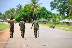 Det er særligt i Vestafrika og i det sydøstlige land Mozambique, at terrororganisationen har gjort sig bemærket i 2020.