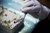 Den fysiske biobank på Statens Serum Institut indeholder primært blodprøver, men også væsker fra rygmarvsprøver og urinprøver.