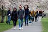 I Battersea Park i London går folk tur i forårsvejret. Foto: Tolga AKMEN / AFP