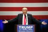 Kampen er langtfra overstået for Donald Trump, der har et forspring på over 230 valgmænd. Han er storfavorit i sin hjemstat New York den 19. april, og han er favorit i Pennsylvania den 26. april. Foto: Charles Rex Arbogast/AP
