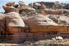 Trump har meddelt at to nationalparker, der beskytter Utahs unikke røde ørkenlandskab, vil blive kraftigt reduceret i størrelsen. På billedet ses et udsnit af Bears Ears. Foto: Rick Bowmer/AP
