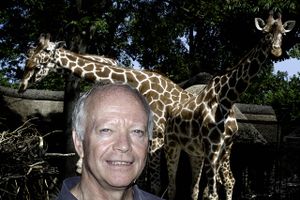 Bengt Holst, der blev landskendt under ”Marius”-sagen, går på pension efter 37 år i Zoologisk Have København.