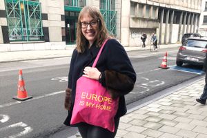 Som ung blev Mette Lykke Nielsen draget mod Bruxelles og EU-systemet, og i dag arbejder hun som politisk rådgiver samt med at guide virksomheder – danske som udenlandske – gennem EU’s forskellige støttemuligheder.