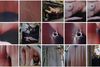 13 af Mathilde Grafströms fotografier blev udsat for hærværk på udstillingens sidste dag i København. Foto: Privatfoto