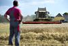 Der er ikke dansk støtte til et loft over fordeling af landbrugsstøtte. 80 procent af EU's landbrugsstøtte går til 20 procent af landmændene. Foto: Henning Bagger/Ritzau Scanpix