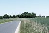 Et af de bedste steder at se og fornemme Danmarks flotte natur er fra en cykelsaddel. Her ses fra venstre den trafikfattige vej, grøftekanten og en rugmark. I baggrunden kirken i Haurum. Foto: Christian Lykking
