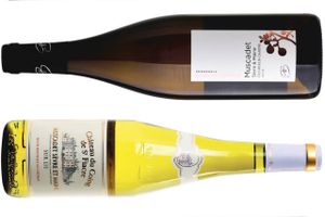 Det klassiske hvidvinsområde Muscadet i det vestligste Loire er velsagtens Frankrigs mest undervurderede, og det afspejler sig i priserne på de bedste vine. Det bugner med gode køb og spændende topvine.