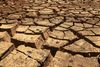 Klimaet er igang med at ændre på verden og fordelingen af de dyr og planter, som mennesker lever af. Vi skal også være i stand til at tilpasse os, advarer forskere. Foto: Luis Moura/AP