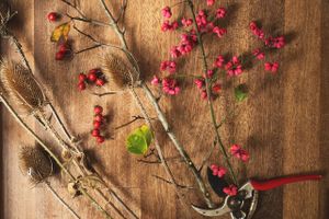 En blomsterbuket behøver ikke komme fra blomsterhandleren eller supermarkedet. Bogen "Vilde buketter" er fuld af idéer til buketter, der kan samles i grøftekanten og andre naturlige steder. Vi bringer et redigeret uddrag.