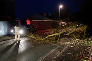 Væltet træ spærrer for trafikken på Strandvejen ved Hornbæk under stormen Otto i Nordsjælland, fredag den 17. februar 2023. Der er målt vindstød på over 28 meter per sekund på Sjælland. Foto: Keld Navntoft Ritzau/Scanpix