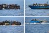 700 flygtninge og migranter frygtes de seneste dage at være omkommet i Middelhavet. Fotos: Den italienske flåde/AP