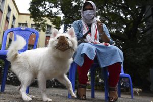 En kvinde venter på at få rabies-vaccine til sin hund i Indien. En 12-årig piges død af hundegalskab i Indien har skabt nyt fokus på landets mange millioner omstrejfende hunde. Det rapporterer BBC. Arkivfoto: Arun Sankar/Ritzau Scanpix