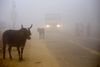 Foto: R S Iyer/AP Photo