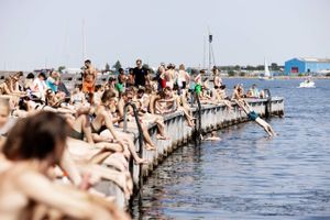 Partier vil have undersøgt, om det kan gøres lovligt at bade i hele Københavns Havn. Arbejdet går nu i gang.