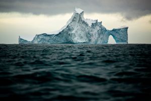 En gruppe forskere har udviklet en ny metode til at måle den antarktiske undergrund. Her har man bl.a. fundet det dybeste punkt på landjorden. Arkivfoto: Janus Engel // Politiken