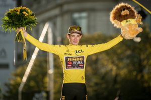 Sejren i Tour de France har sendt Jonas Vingegaard op på fjerdepladsen på UCI's verdensrangliste.