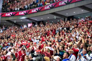 Der er jubel på tribunerne, da Danmark vinder. Foto: Ritzau Scanpix/HENNING BAGGER