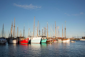 Der er omtrent 70 skibe i træskibshavnen i Aarhus. Den lyseblå fiskekutter er Jens Ficks hjem. 