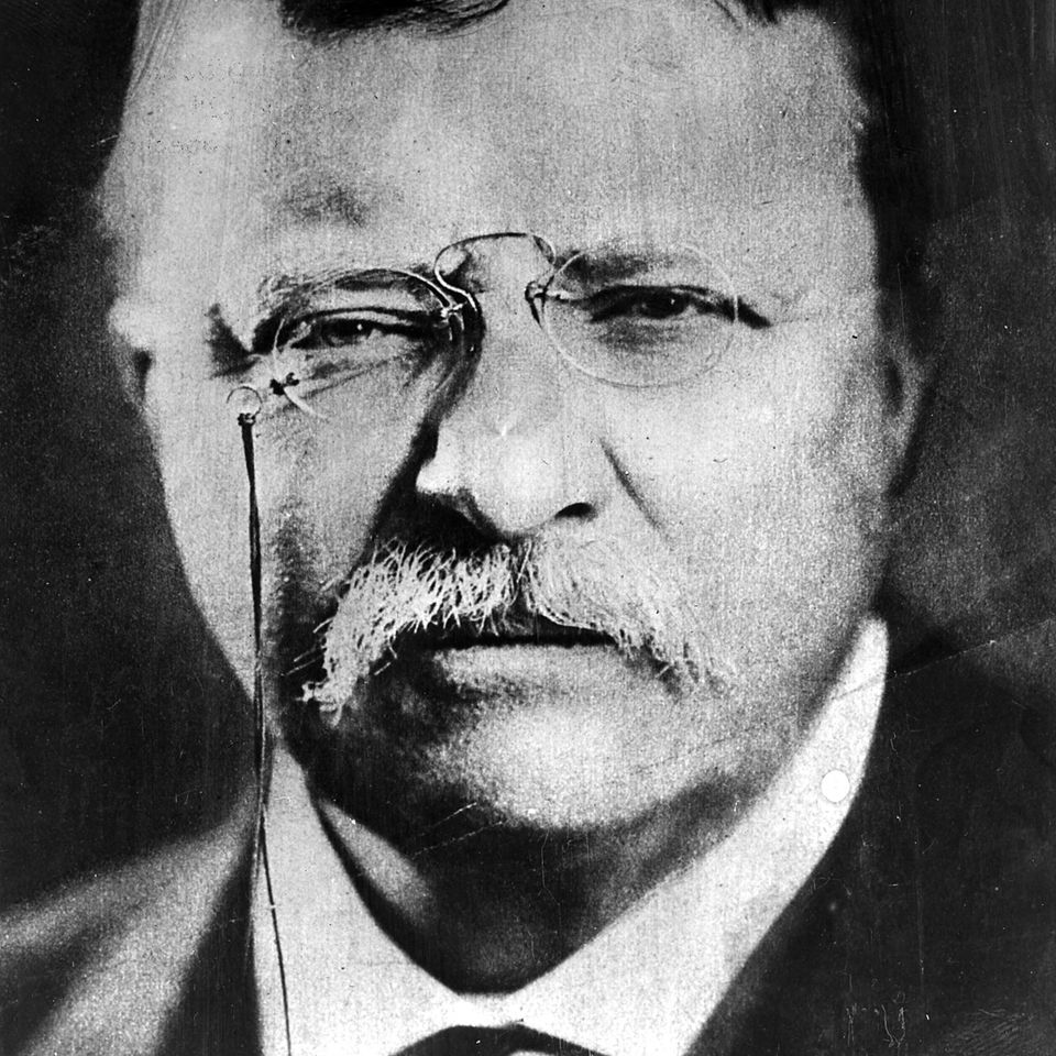 Mads og Davids nytårsgave