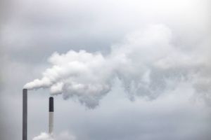 Hele verdens udledning af CO2 vil i år falde med næsten otte procent, vurderer Det Internationale Energiagentur (IEA). Arkivfoto: Jens Hartmann Schmidt