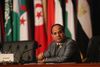 Skal man tro Egyptens stærke mand, tidligere forsvarsminister og feltmarskal Abdel Fattah al-Sisi, er der ingen grund til panik over Islamisk Stat på Sinai-halvøen: »At sige at situationen er under kontrol er ikke nok til at beskrive situationen. Situationen er fuldstændig og absolut stabil.« Foto: Thomas Hartwell
