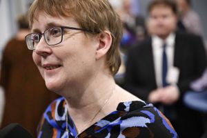 Kristendemokraternes hovedbestyrelse venter med at vælge ny formand og har to næstformænd det næste år. 