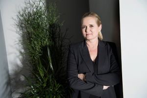 Gitte Seeberg afviste i 2009 at ansætte kvinde, fordi hun var gravid, og trækker sig derfor fra Djøf-komité.