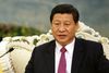 Kinas vicepræsident, Xi Jinping, har aflyst møde med statsminister Helle Thorning-Schmidt.
