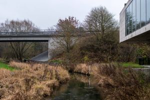 Lilleåen i Hadsten er før løbet over sine bredder, så byrådet i Favrskov har afsat 1 mio. kr. til at lave et projekt, der beskytter mod oversvømmelser.