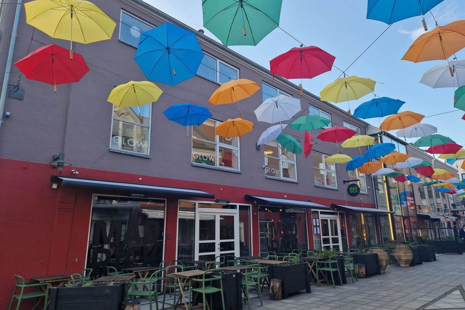 JP Vejle sendte et korps af anmeldere på Restaurant Madrick for at teste stedets proklamerede madkunst - det blev en aften i hektiske omgivelser.