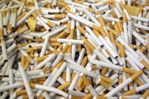 Sidste år forhindrede Toldstyrelsen, at 16 millioner ulovlige cigaretter blev solgt uden myndighedernes viden.