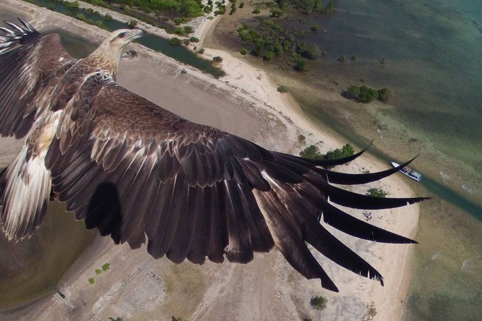 Dronefotografer priser med spektakulære billeder