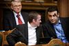 De Konservative betegner den vedtagne lov som ren »symptombehandling«.