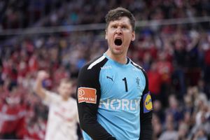 En fornem præstation af bl.a. Niklas Landin sikrede de danske håndboldherrer en plads i VM-finalen for tredje gang i træk. 