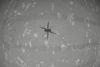 Den amerikanske rumfartsadministration, Nasa har, gennemført en vellykket flyvning med en helikopter på Mars. Foto: Ritzau Scanpix