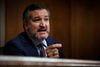 toppolitikeren Ted Cruz er blandt de 11 sanktionerede amerikanere. Foto: Chip Somodevilla/Getty Images/AFP