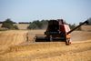 Danske landmænd skal forberede sig på en fremtid med lavere EU-støtte. EU's stats- og regeringschefer har besluttet at beskære landbrugsbudgettet op mod 10 pct., og danske landmænd bliver formentlig ramt en større reduktion. Foto: Peter Hove Olesen