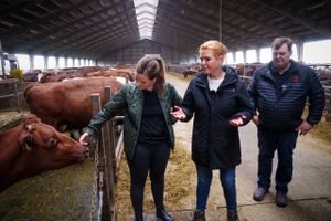 Søndag besøgte EL’s politiske ordfører Mai Villadsen den gård, Inger Støjberg er vokset op på, til en debat om klima og landbrug. Der var dog ikke meget, de to kunne blive enige om.