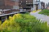 The High Line er en offentligt park, som er bygget op omkring en gammel jernbanelinje.