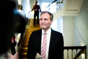 Danmarksdemokraterne vil bevare grænsekontrollen.