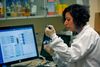 Forskere ved Migal (Det Galilæiske Forskningsinstitut) er tæt på at kunne udvikle den første vaccine mod det nye coronavirus. Foto: Jalaa Marey/AFP