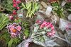 Omkring 150 borgere var mødt op til politiets informationsmøde. Her ses blomster og lys uden for de tre afdødes bopæl. Foto: Dorte Brandsen