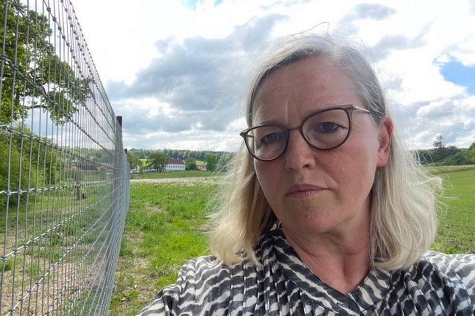 Artiklens øverste billede