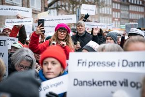 Ombudsmanden er ikke vild med sager, der har været politisk behandlet, lyder vurderingen fra en forsker i forvaltningsret.