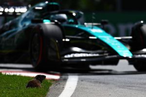 Et murmeldyr var kommet på afveje under fredagens Formel 1-træning i Montreal, hvor Verstappen var hurtigst.