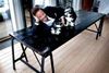 Arkivfoto: Finn Frandsen/Politiken/Ritzau Scanpix